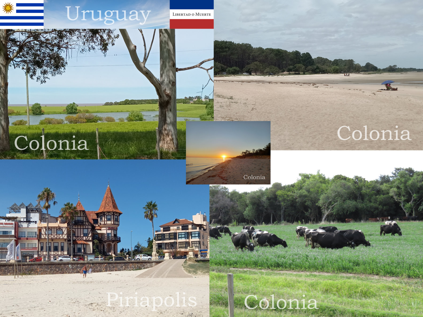 Eindrücke aus Uruguay